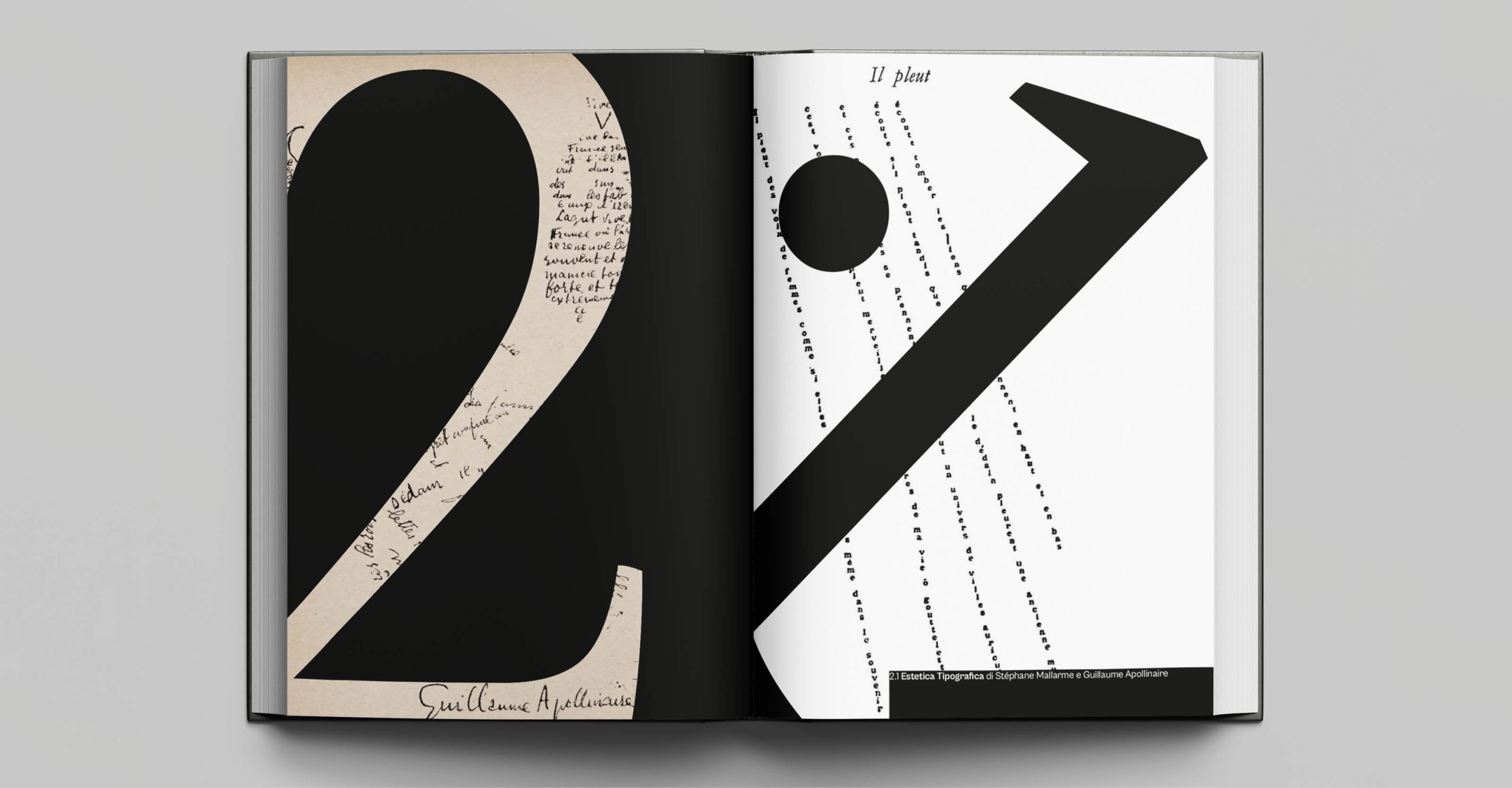 apollinaire_thesis_magazine_book